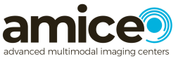 AMICE